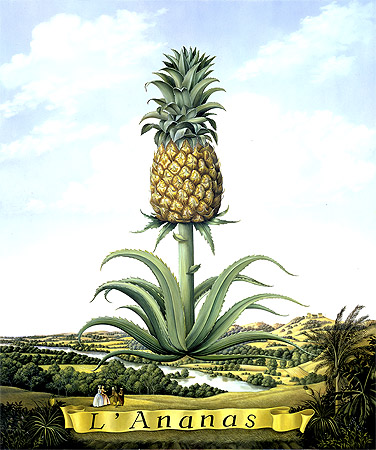 Nature Genre Painting